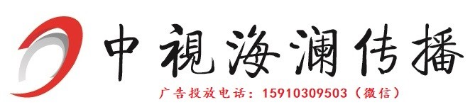 中视海澜传播LOGO横版副本.jpg