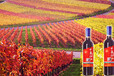 美的庄园中华红冰葡萄酒集安美的庄园葡萄酒