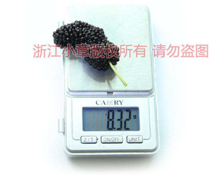 大十測量6.jpg