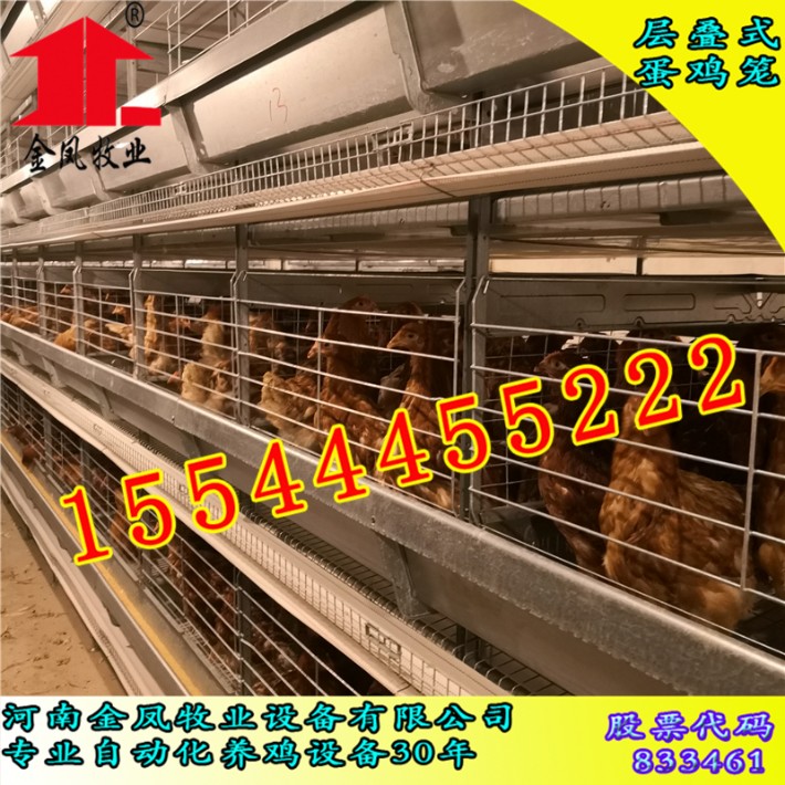 金凤自动化养鸡设备54.jpg