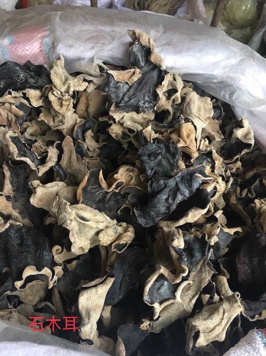 洪安批发部供应石木耳批发石木耳价格石耳散装销售