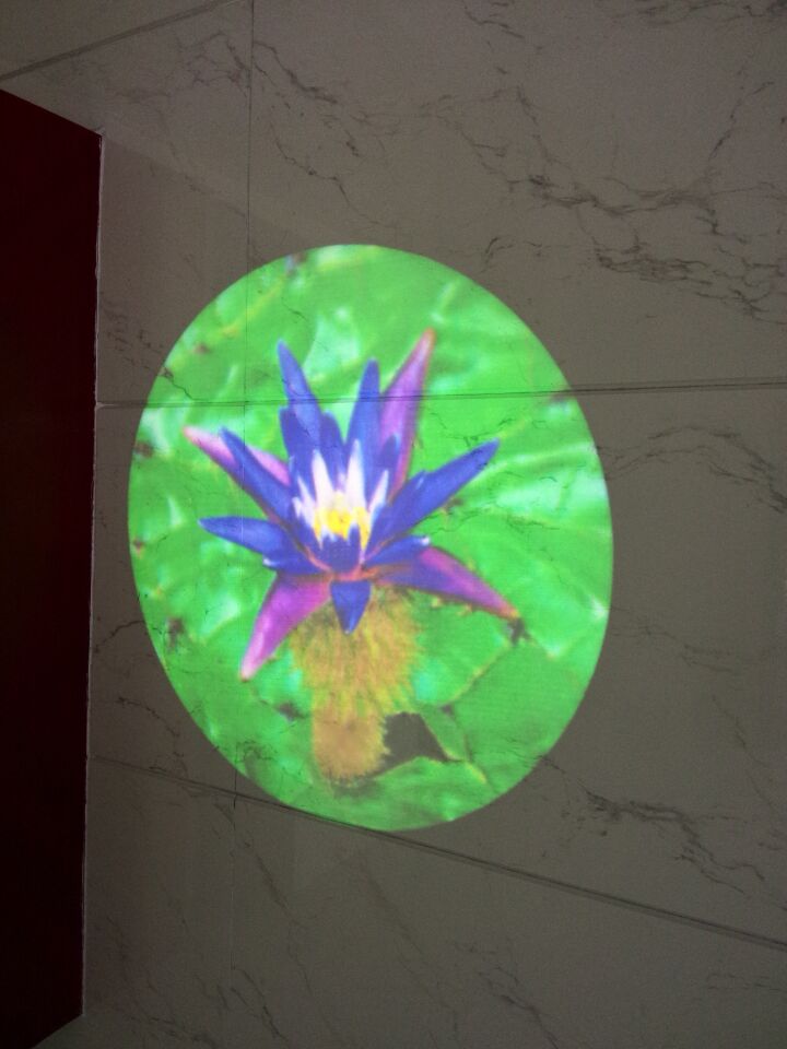 绿花.jpg