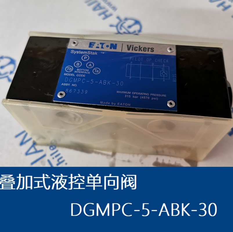 叠加式液控单向阀DGMPC-5-ABK-30.JPG