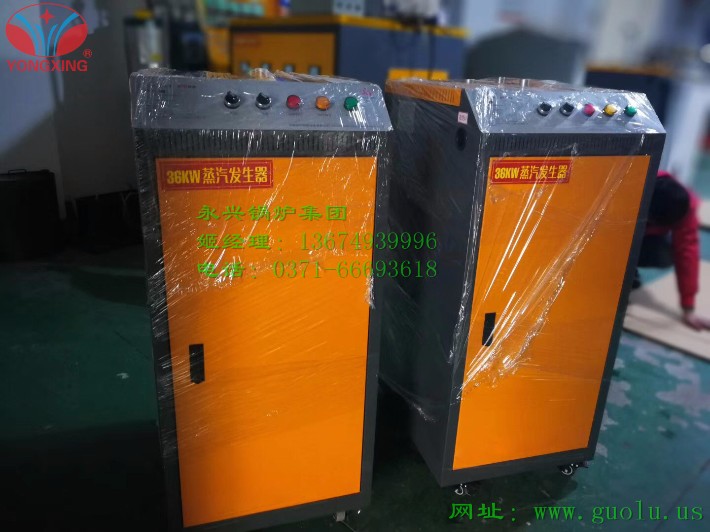 36KW電蒸汽發(fā)生器.jpg