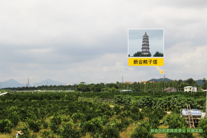 詳情6.jpg