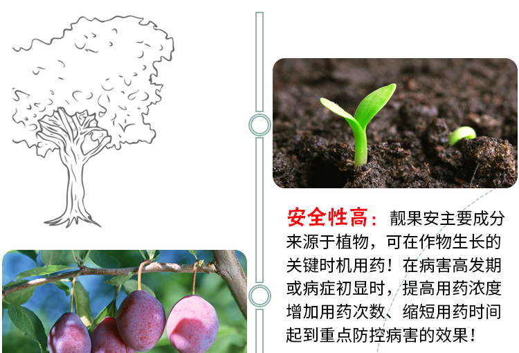 詳情_09 - 副本.jpg