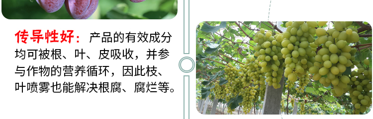 詳情_10.jpg