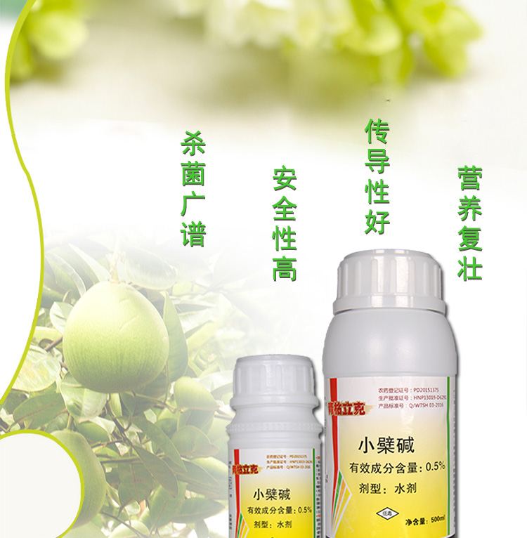青枯立克 (2).jpg