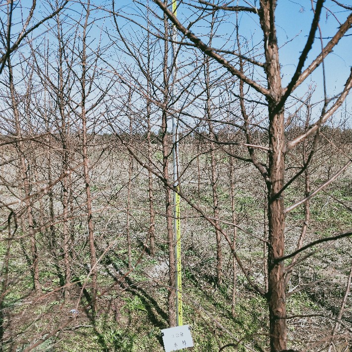 IMG25.jpg