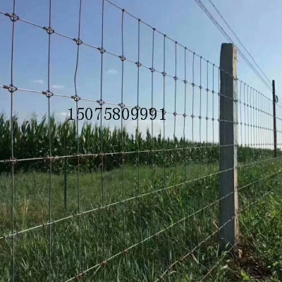 截圖24.png