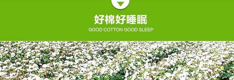 歡樂(lè)世界黃_12_看圖王(1)_看圖王.jpg