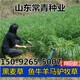 圖片_201804201441403.jpg