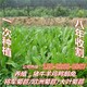 圖片_201804201441407.jpg
