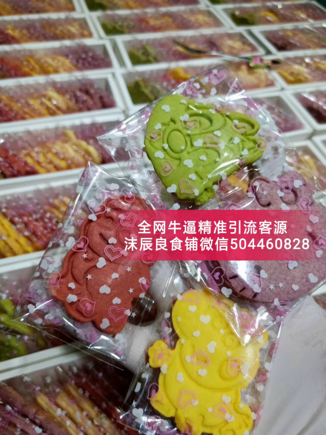 圖片_21.jpg