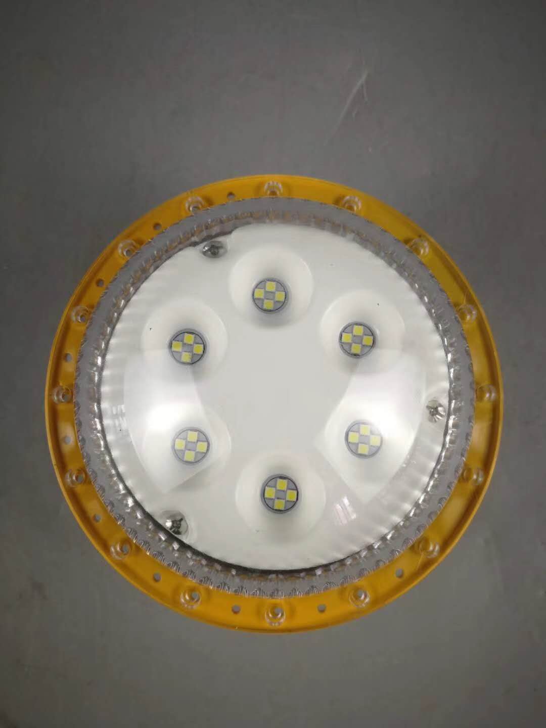 2876350.jpg