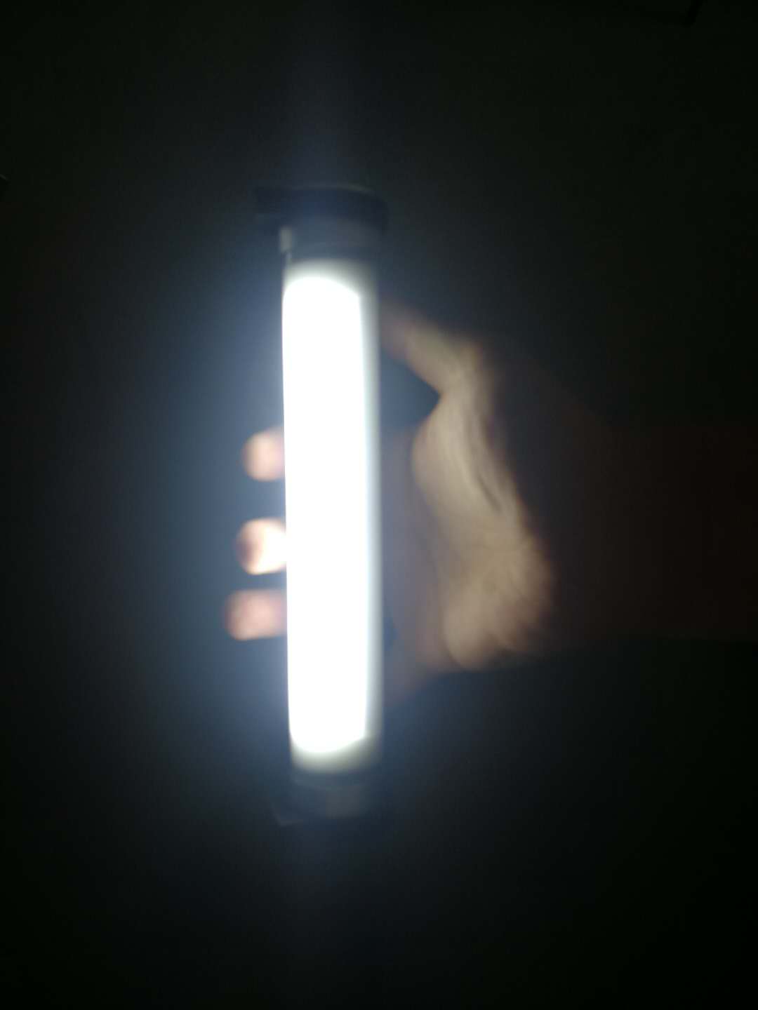 721211.jpg