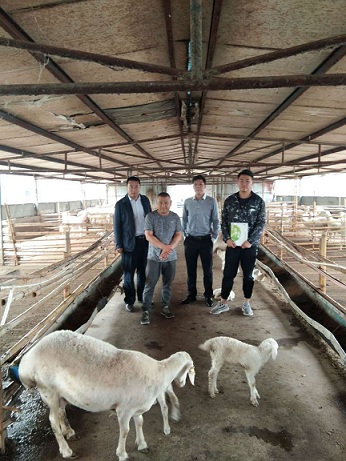 公司趙總一起去湖羊繁殖基地，拜訪客戶