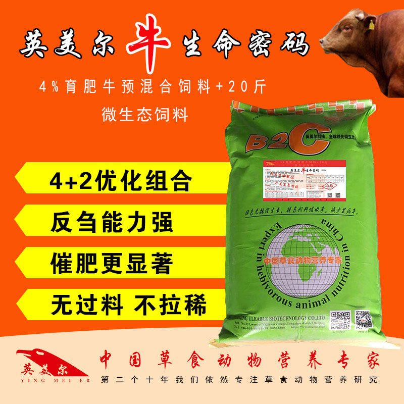 牛生命密碼.jpg