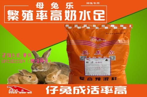 母兔樂.jpg