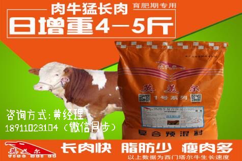 5%肉牛，肉牛猛長(zhǎng)肉.jpg