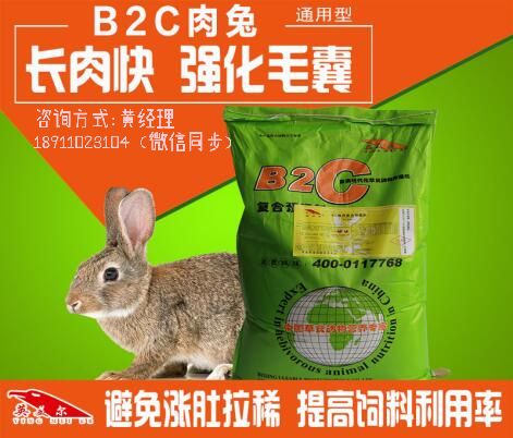 B2C肉兔.jpg