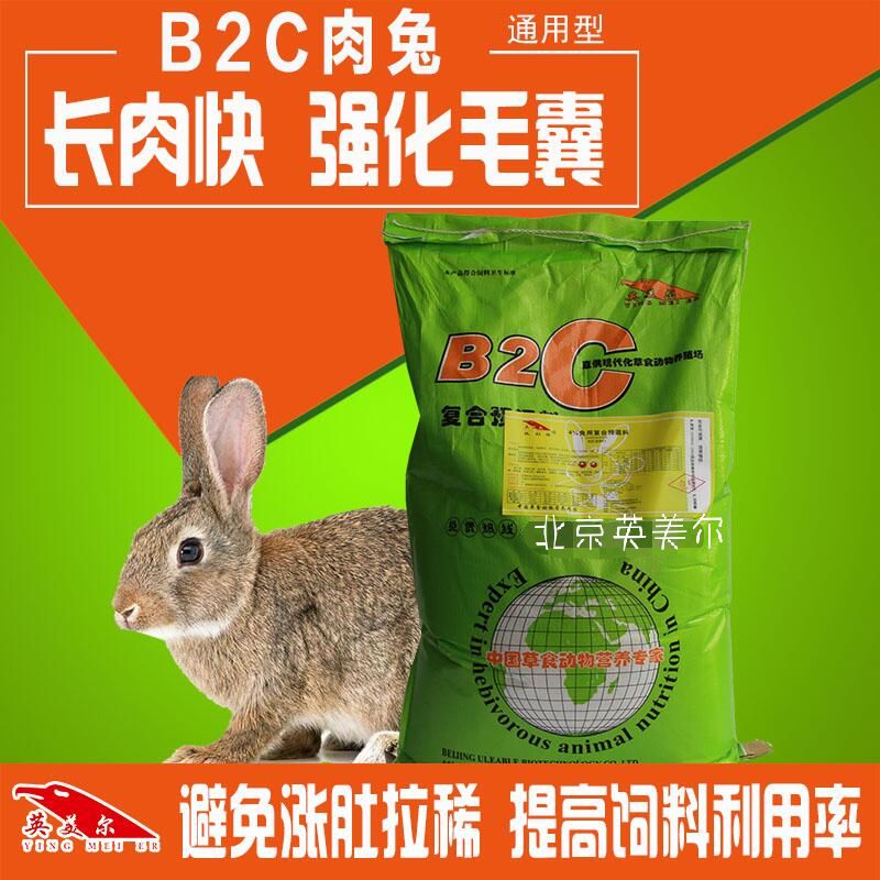 B2C肉兔2.jpg