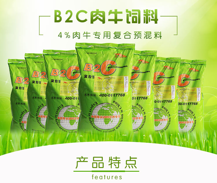 B2C肉牛.jpg