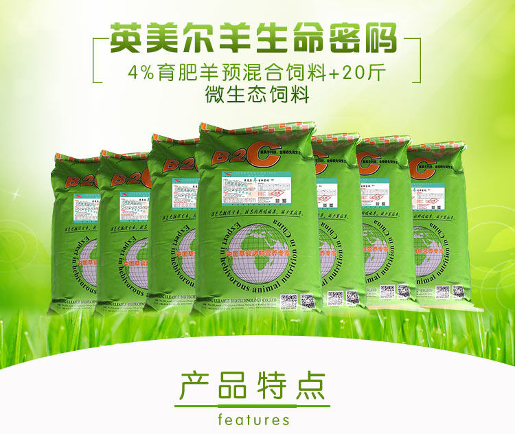 羊生命密碼.jpg
