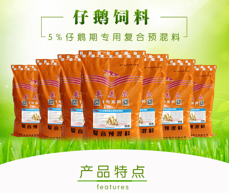 仔鵝.jpg