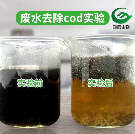 主图-cod-实验.jpg
