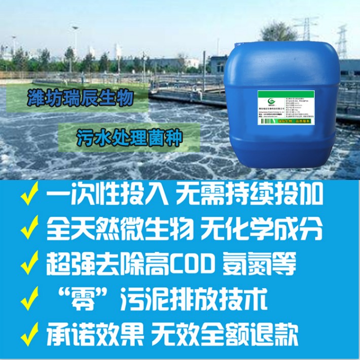 主图—污水处理菌种2.jpg