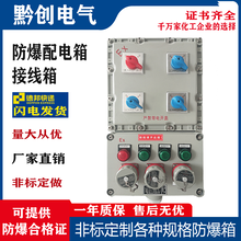 定制IIBIIC级防爆插座配电箱