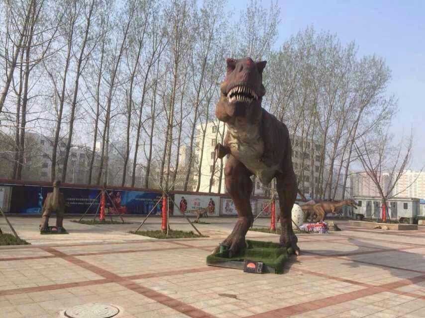 13313313.jpg