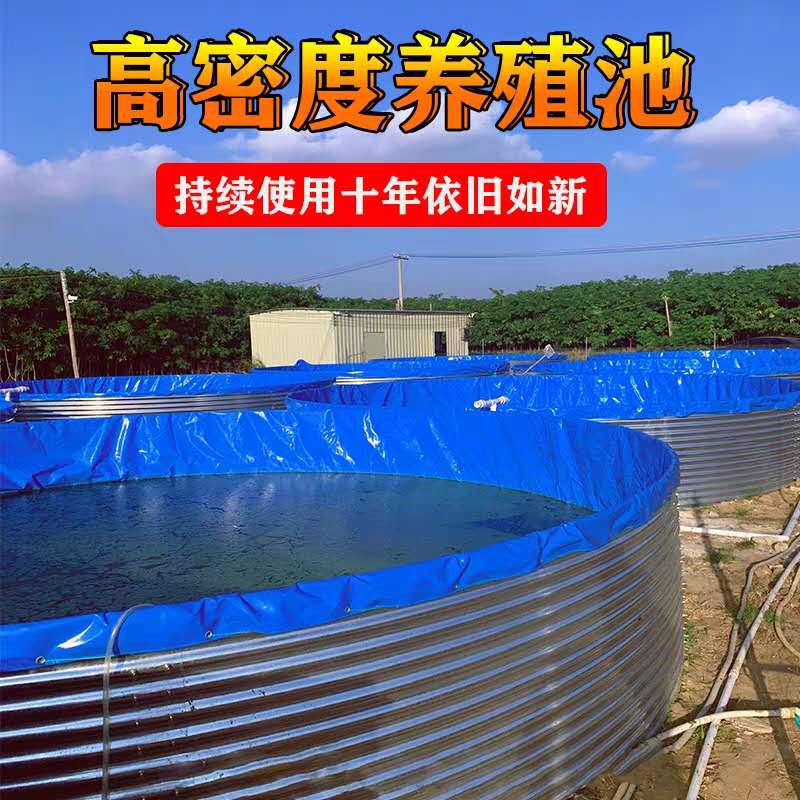 U8国际- U8国际官方网站- U8体育APP下载100种适合室内养的植物(408)