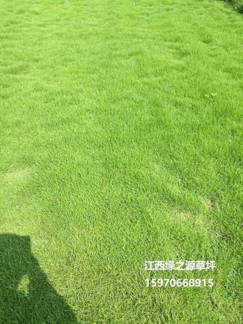 調(diào)整0002.jpg