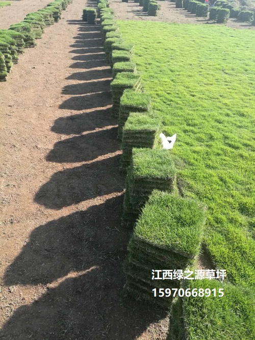 調(diào)整圖片0003.jpg