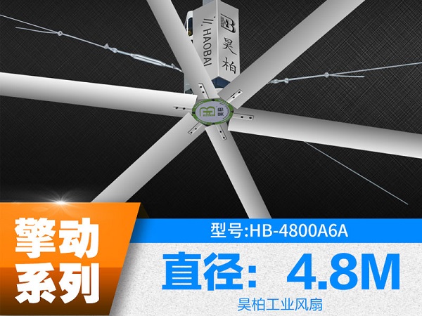 擎动4.8.1.jpg