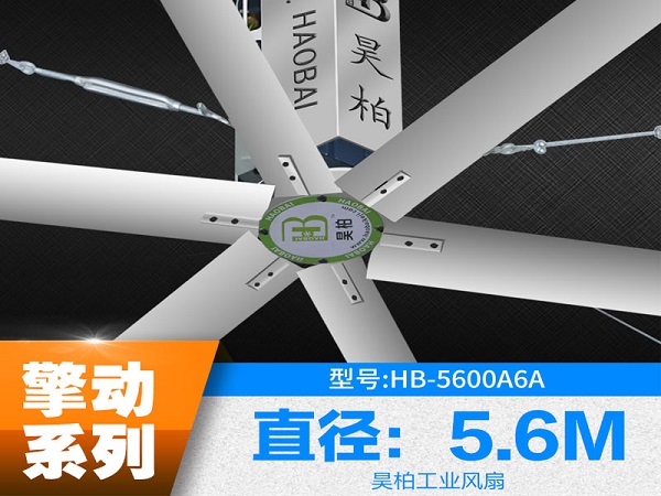 擎动5.6.2.jpg