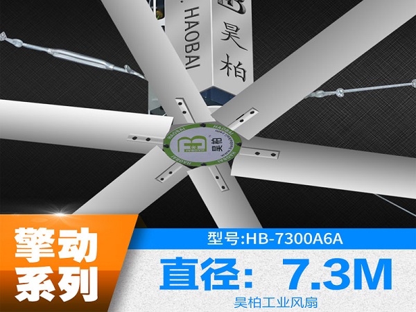 擎动7.3.2.jpg