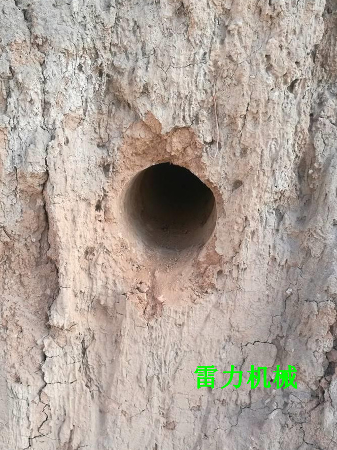 b_1118398_295201_WPS圖片.jpg