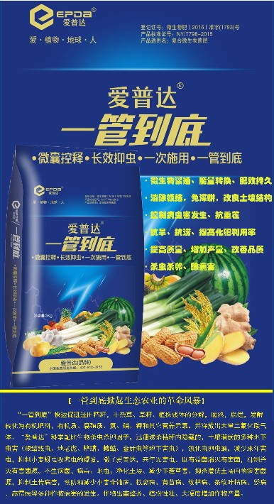 一管到底自己设计.jpg