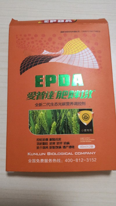 爱普达肥胖墩正面.jpg