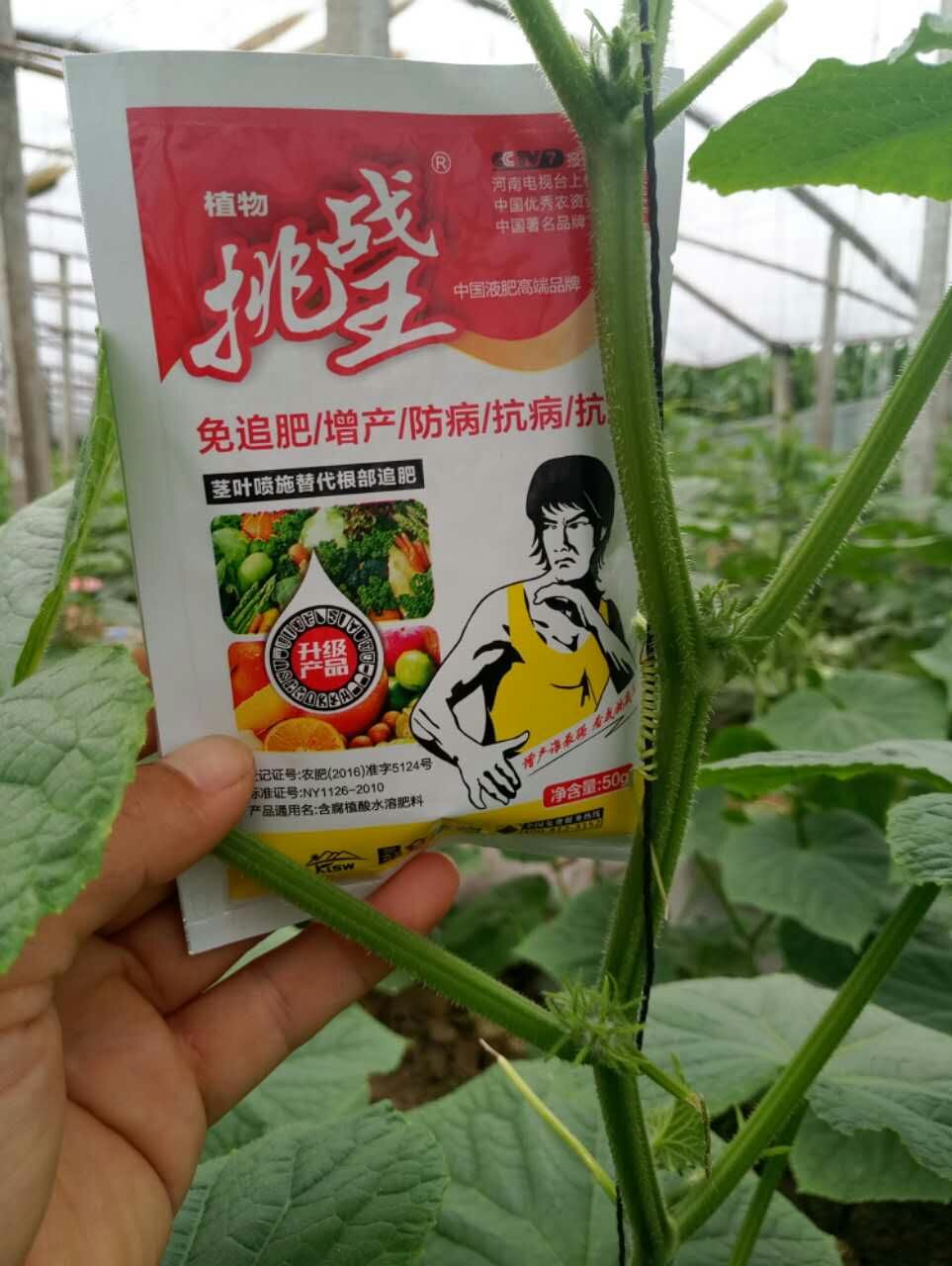 腐植酸水溶肥作物反馈图.jpg