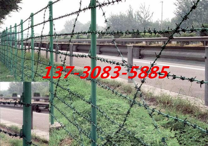 2508727661_806418435_副本.jpg