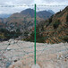 四川果园圈地护栏网圈地用包塑刺绳护栏网