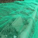 德阳工地料场防风抑尘网绿色盖土网工地防尘盖土网
