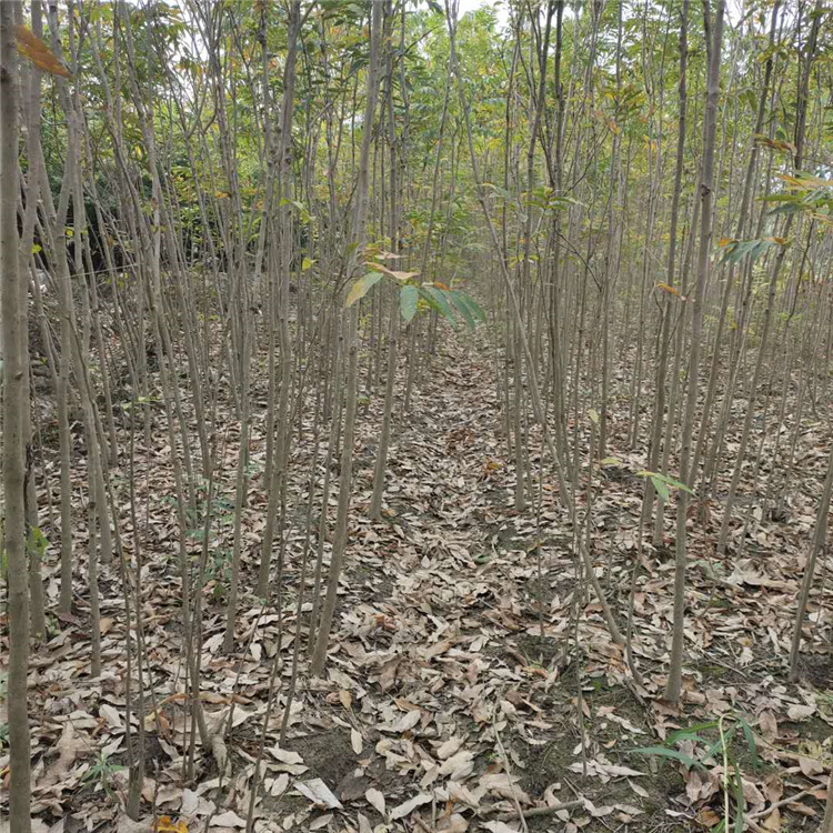 图片_202010091728427.jpg
