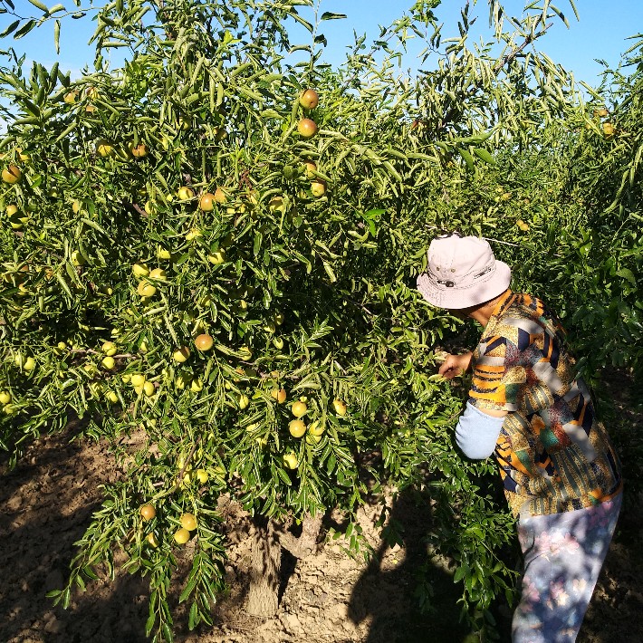 IMG_20180904_162723.jpg