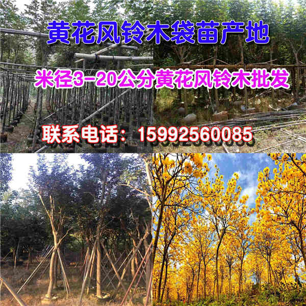 未標(biāo)題-2-恢復(fù)的_副本_副本2.jpg