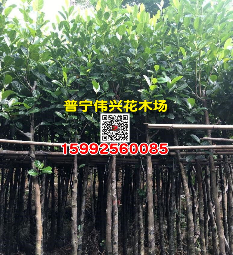 5_副本.jpg